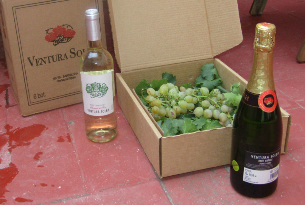 Best white wine cava barcelona spain
