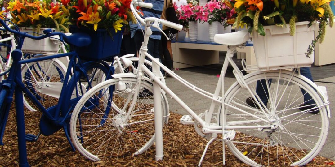Bike in Holland