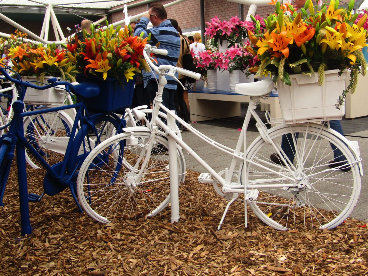 French Family Firm Recycles Hand-made Bike Shop As Luxury Niche - I24NEWS