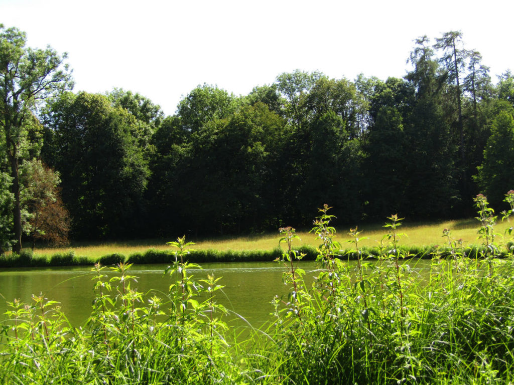 Walk in Nature in Munich healthy resolutions holidays