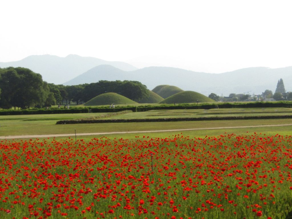 Gyeongju Daereungwon Royal Tomb Tumuli Park South Korea