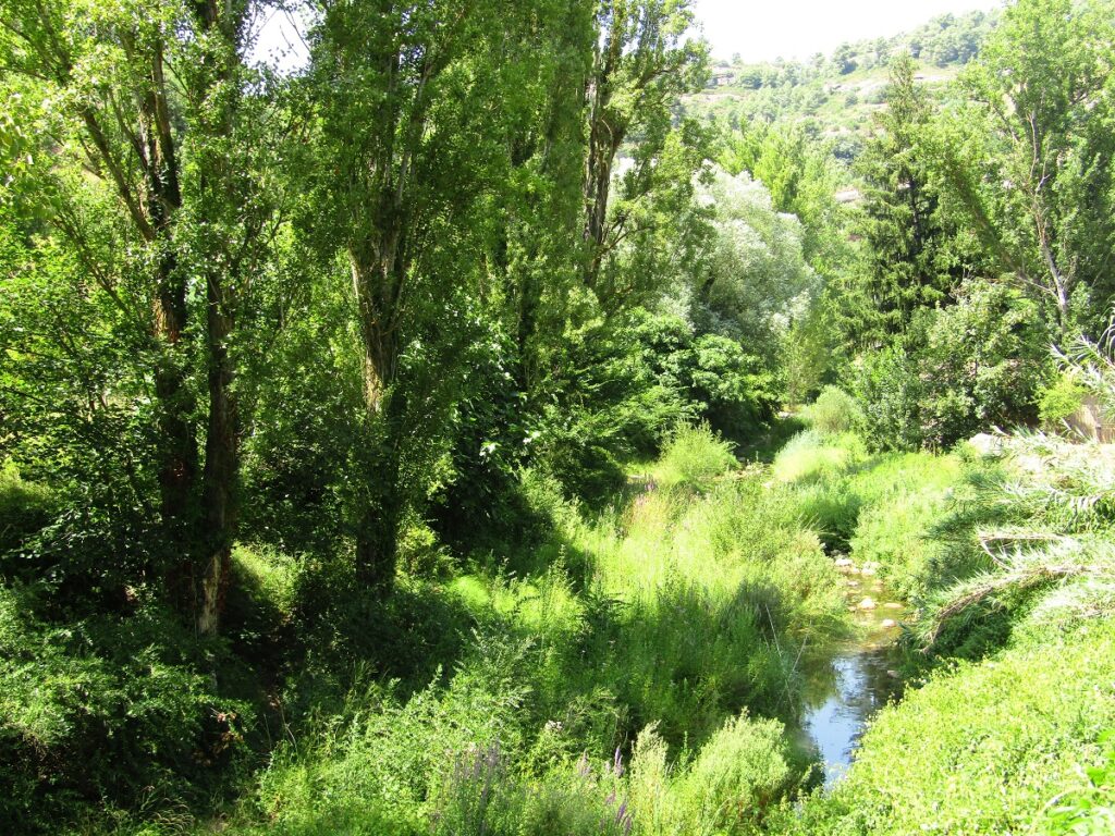 Mura Riverbank