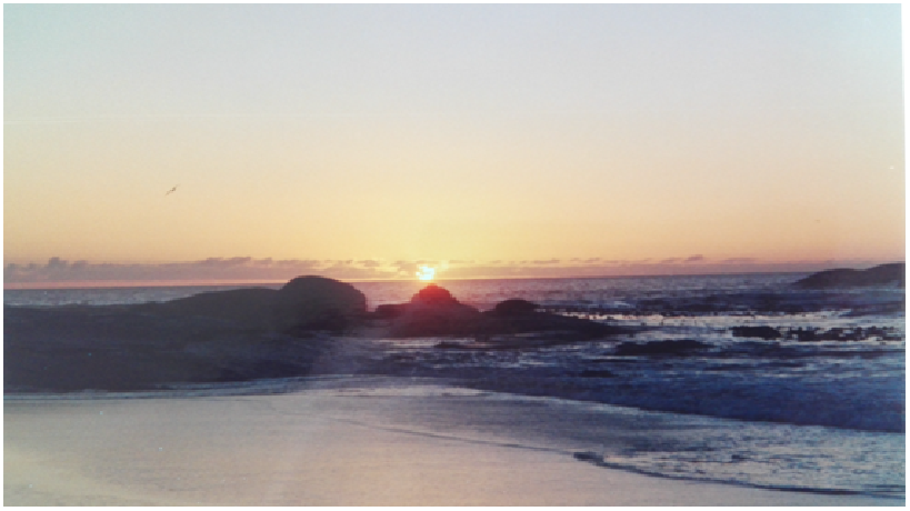Camps Bay Best Sunset in South Africa