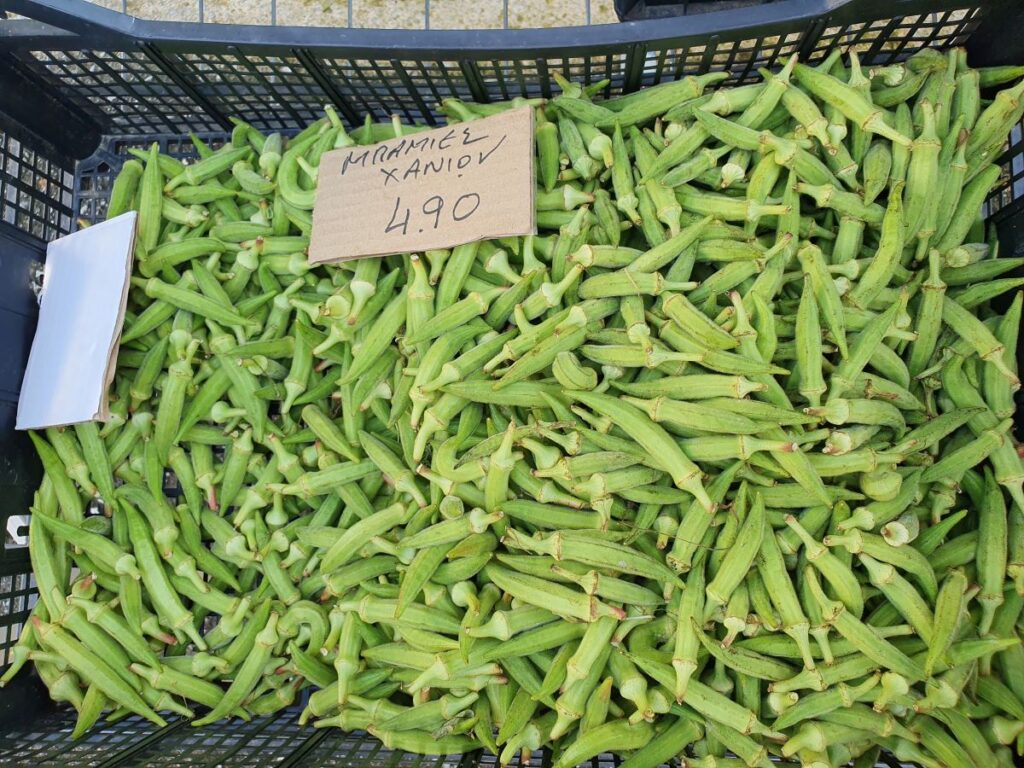 Gombos Crete sauvage (Fresh okra in Kissamos western Crete )